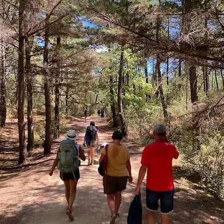 Au Pied De La Foret * Saint-Jean-de-Monts