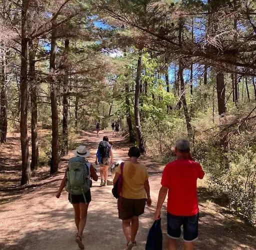 Au Pied De La Foret * Saint-Jean-de-Monts